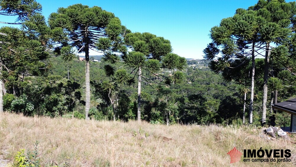 0 para Terrenos - Venda em Campos do Jordão