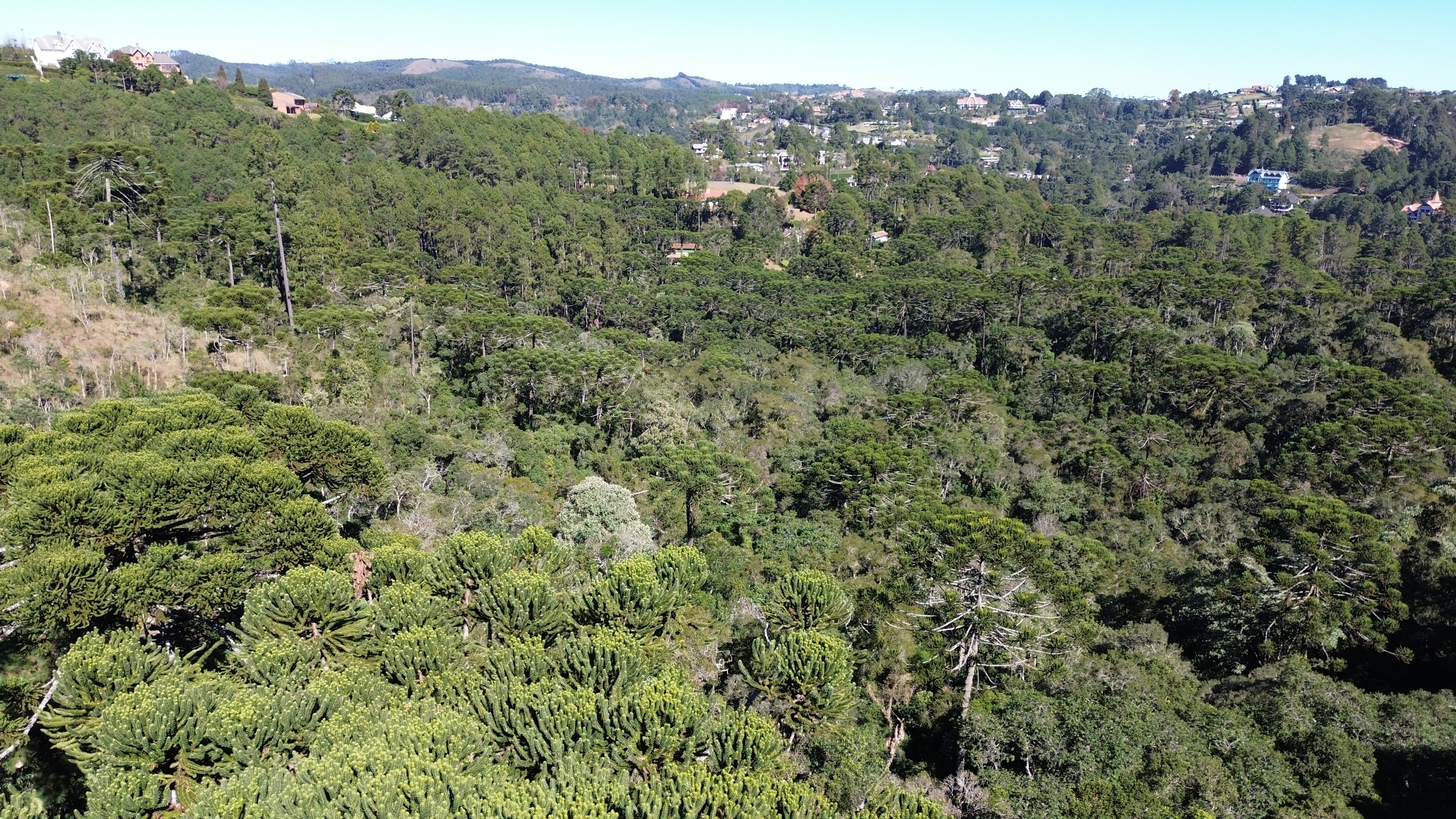 0 para Terrenos - Venda em Campos do Jordão