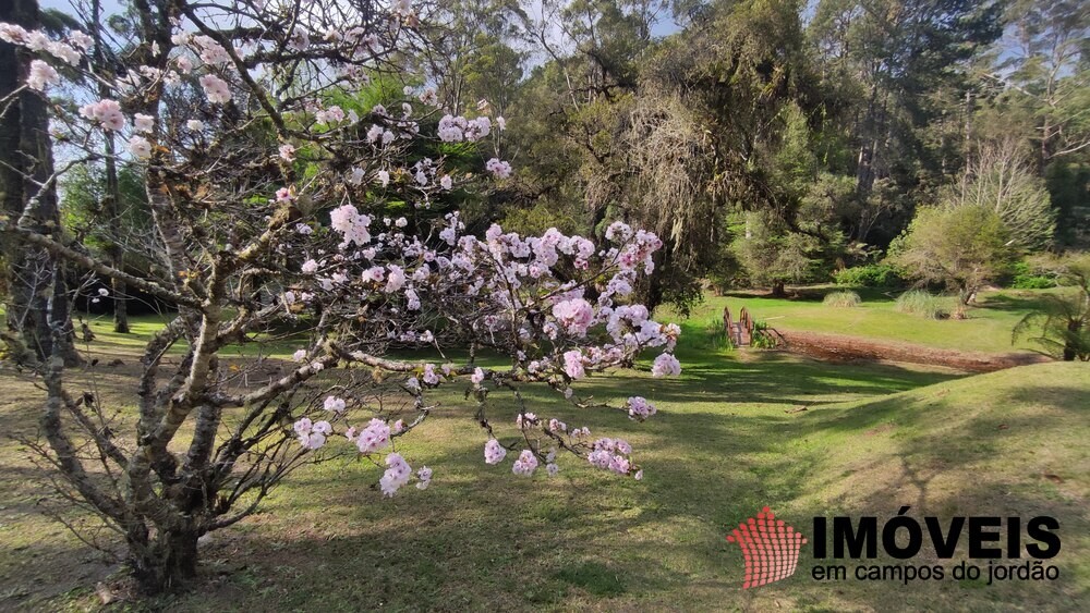 0 para Terrenos - Venda em Campos do Jordão