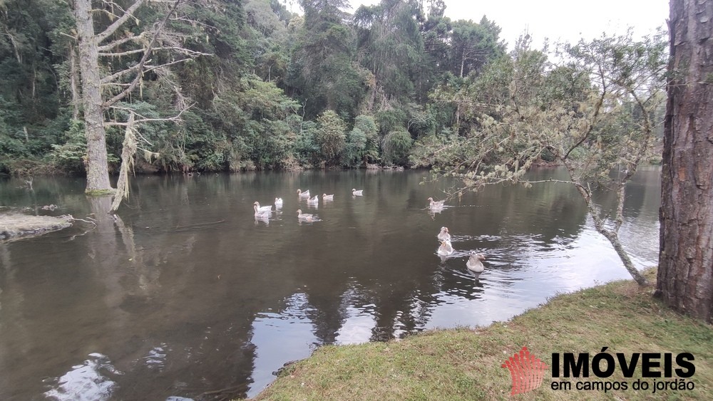 0 para Terrenos - Venda em Campos do Jordão