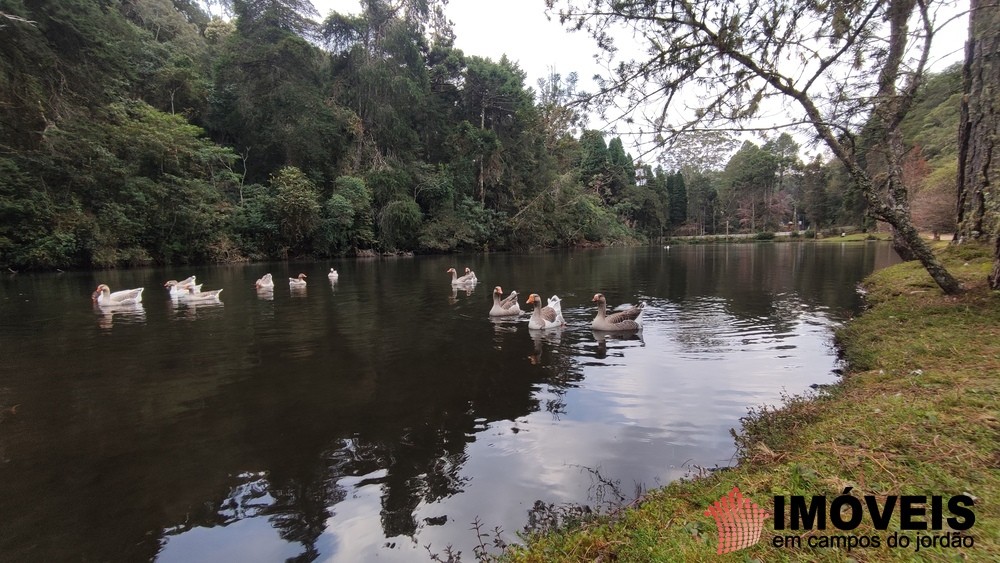 0 para Terrenos - Venda em Campos do Jordão