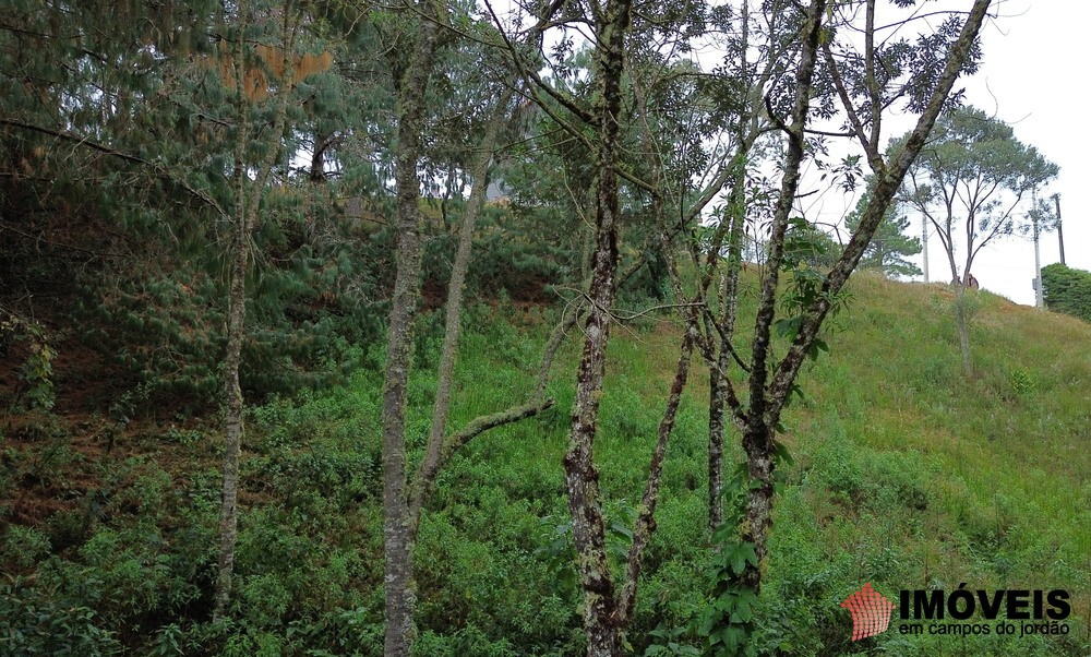 0 para Terrenos - Venda em Campos do Jordão