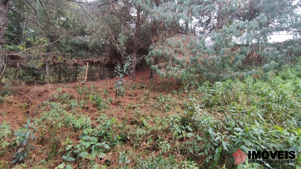 0 para Terrenos - Venda em Campos do Jordão