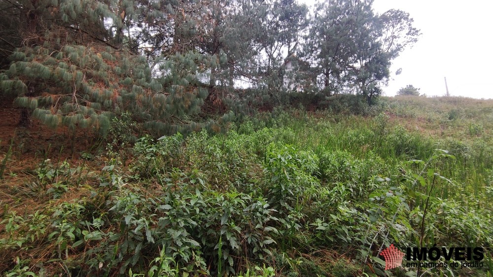 0 para Terrenos - Venda em Campos do Jordão