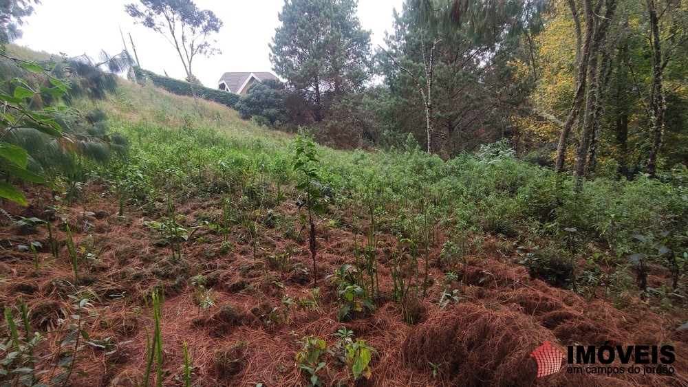 0 para Terrenos - Venda em Campos do Jordão