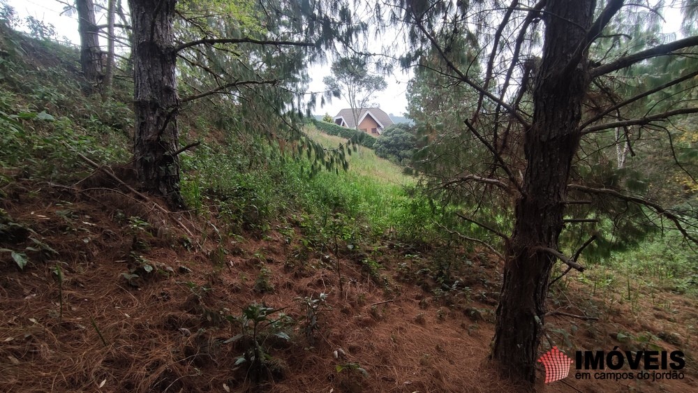 0 para Terrenos - Venda em Campos do Jordão