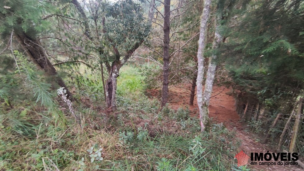 0 para Terrenos - Venda em Campos do Jordão