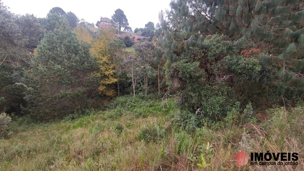 0 para Terrenos - Venda em Campos do Jordão