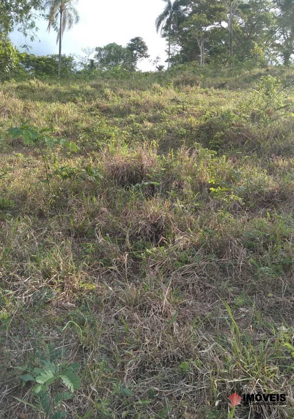 0 para Terrenos - Venda em Campos do Jordão