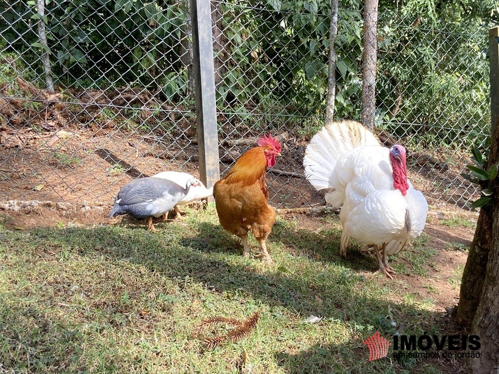 0 para Casas - Venda em Campos do Jordão