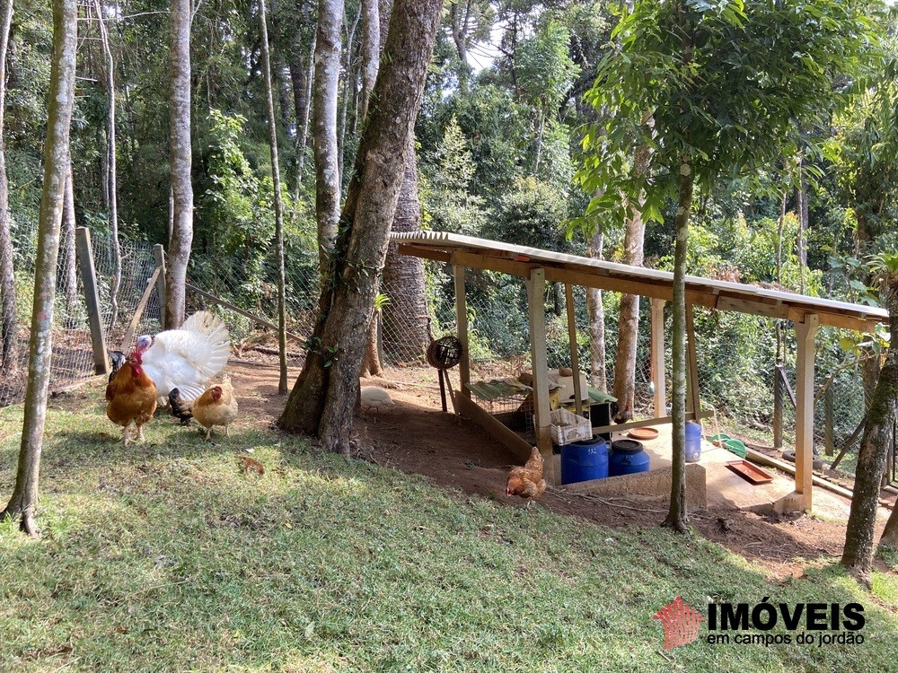 0 para Casas - Venda em Campos do Jordão