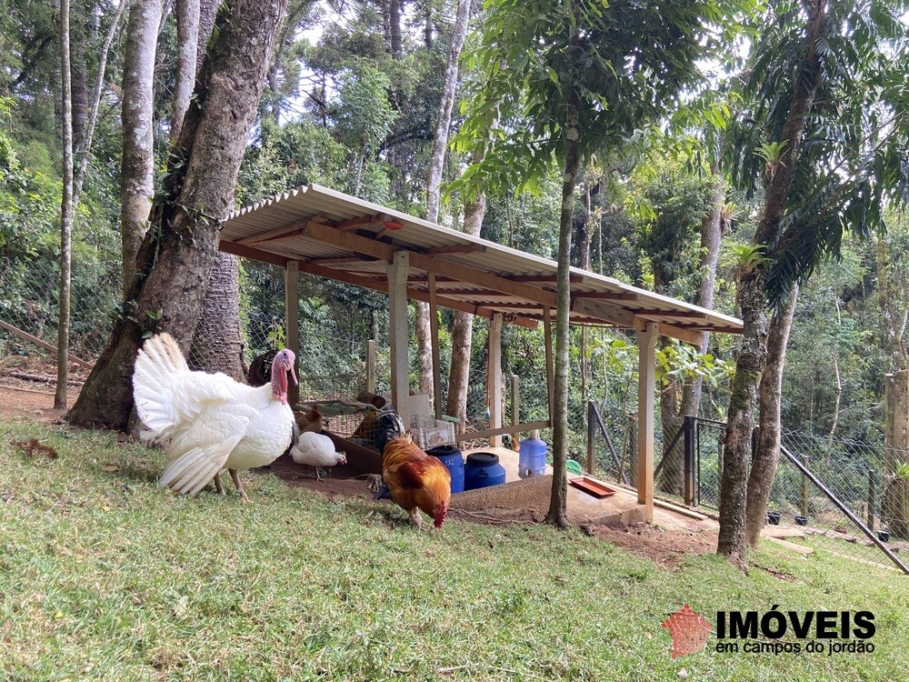 0 para Casas - Venda em Campos do Jordão