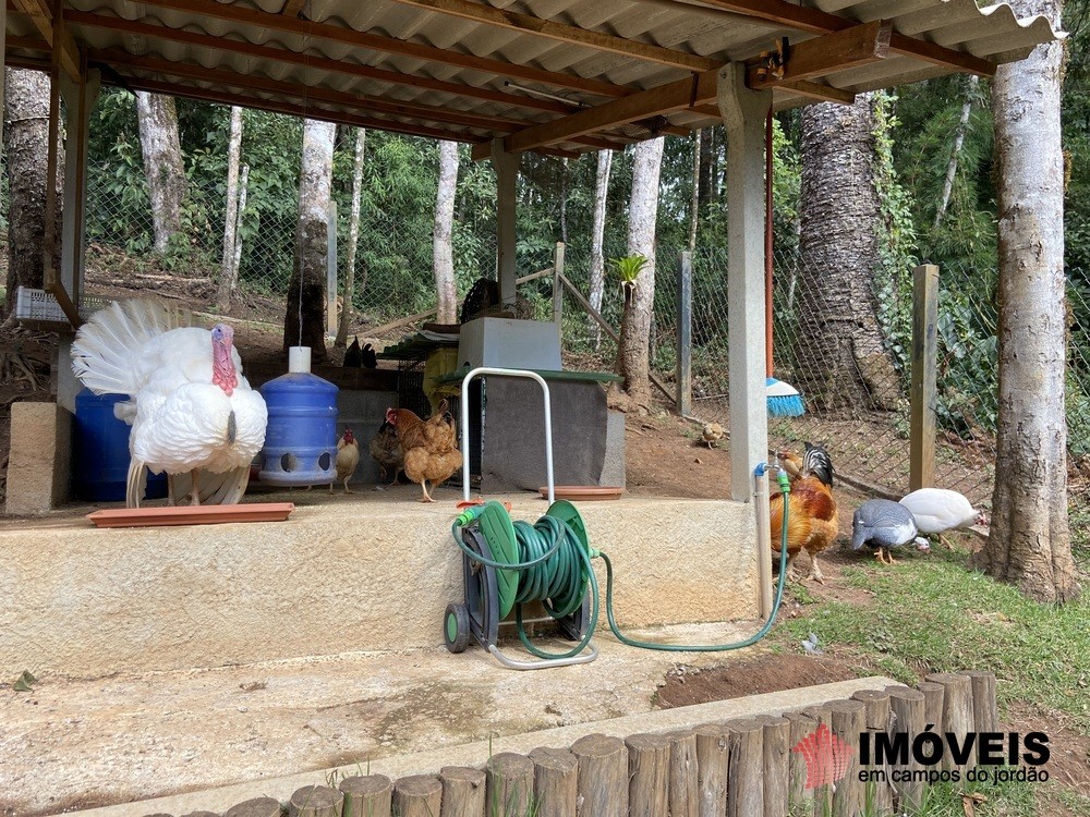 0 para Casas - Venda em Campos do Jordão