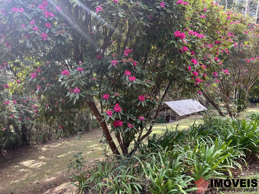 0 para Casas - Venda em Campos do Jordão