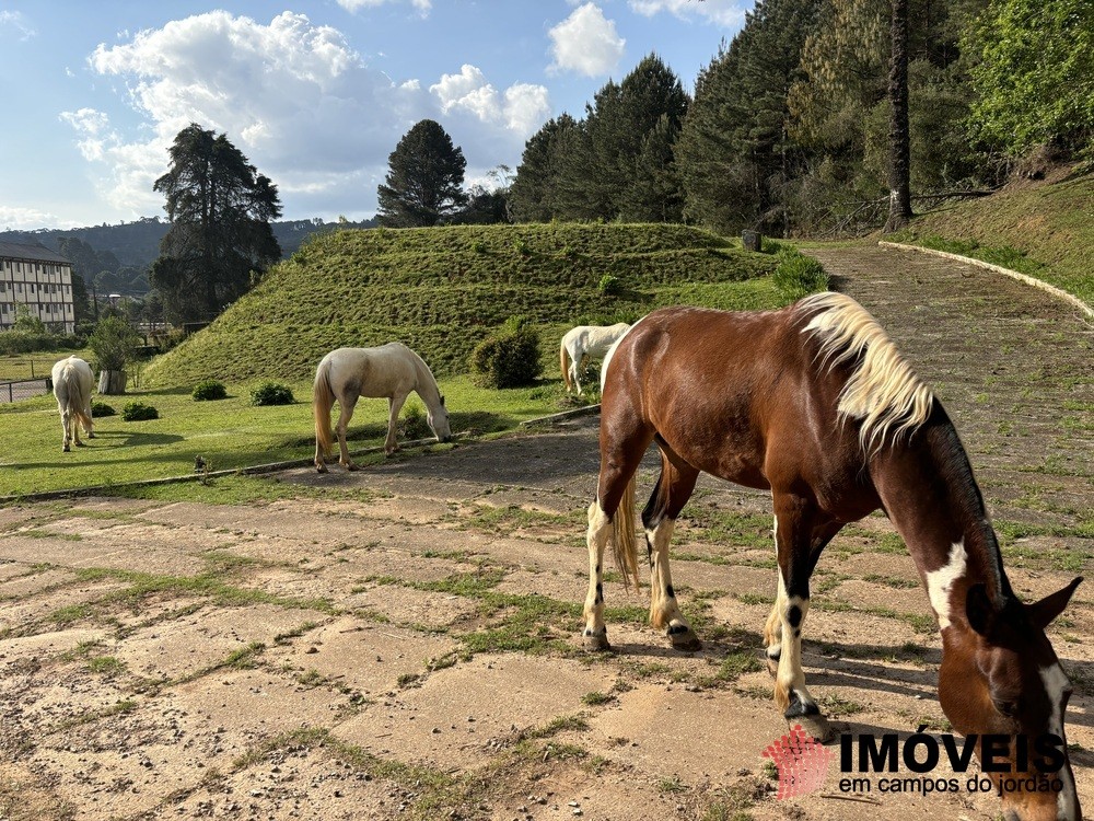 0 para Áreas para Incorporação - Venda em Campos do Jordão