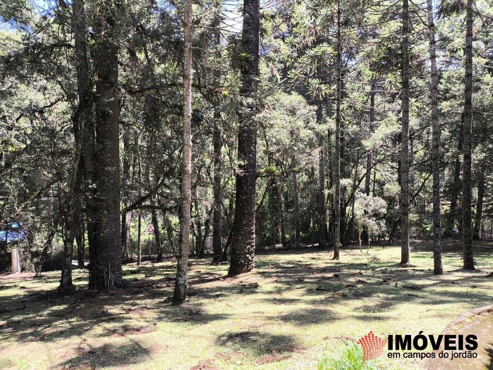 0 para Terrenos - Venda em Campos do Jordão