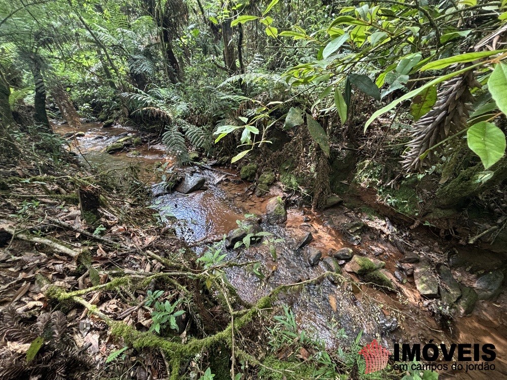 0 para Áreas para Incorporação - Venda em Campos do Jordão