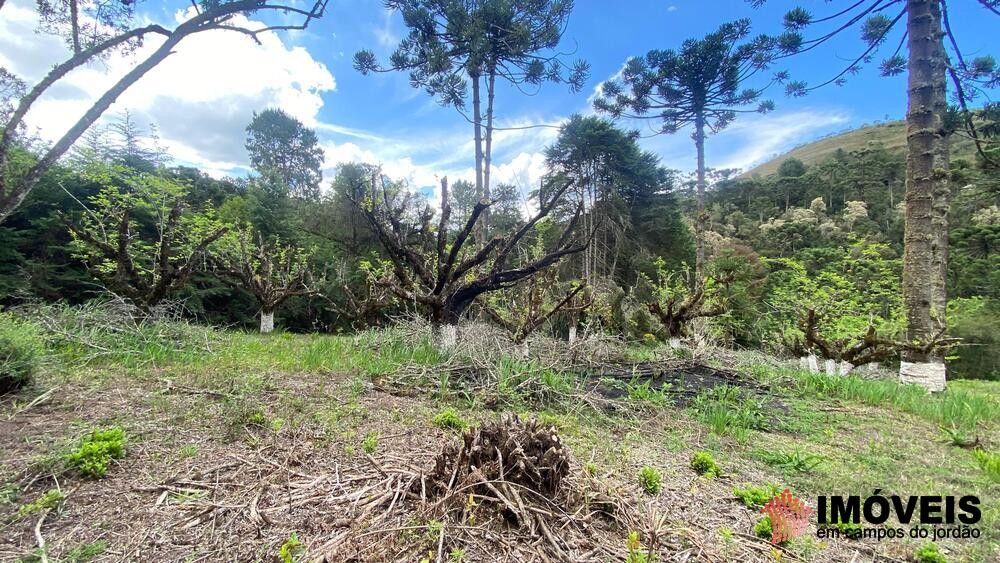 0 para Áreas para Incorporação - Venda em Campos do Jordão