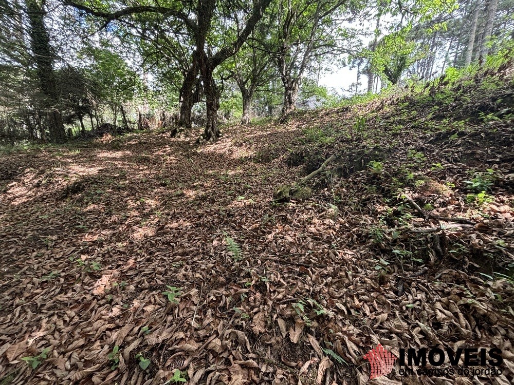 0 para Áreas para Incorporação - Venda em Campos do Jordão