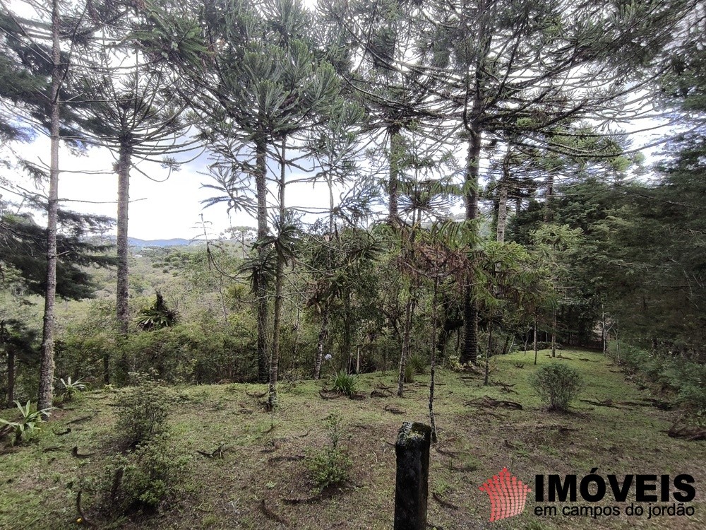 0 para Casas - Venda em Campos do Jordão