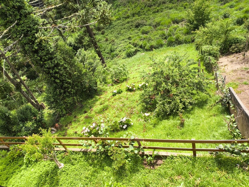 0 para Casas - Venda em Campos do Jordão