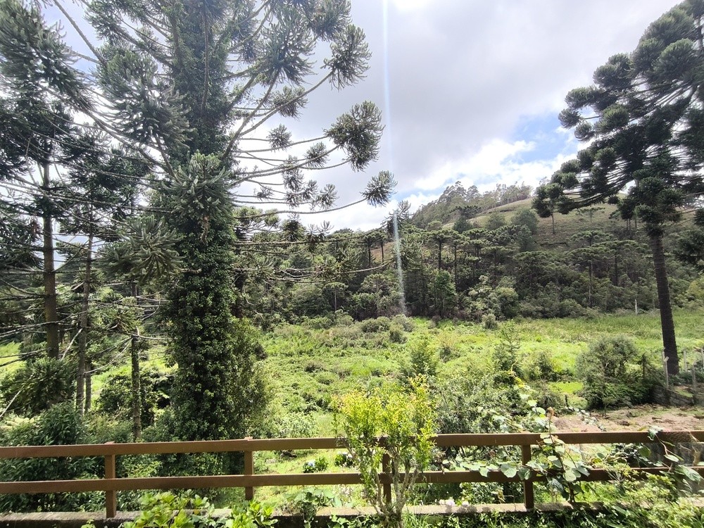 0 para Casas - Venda em Campos do Jordão