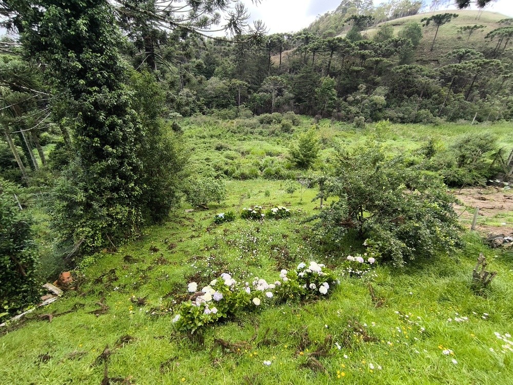 0 para Casas - Venda em Campos do Jordão