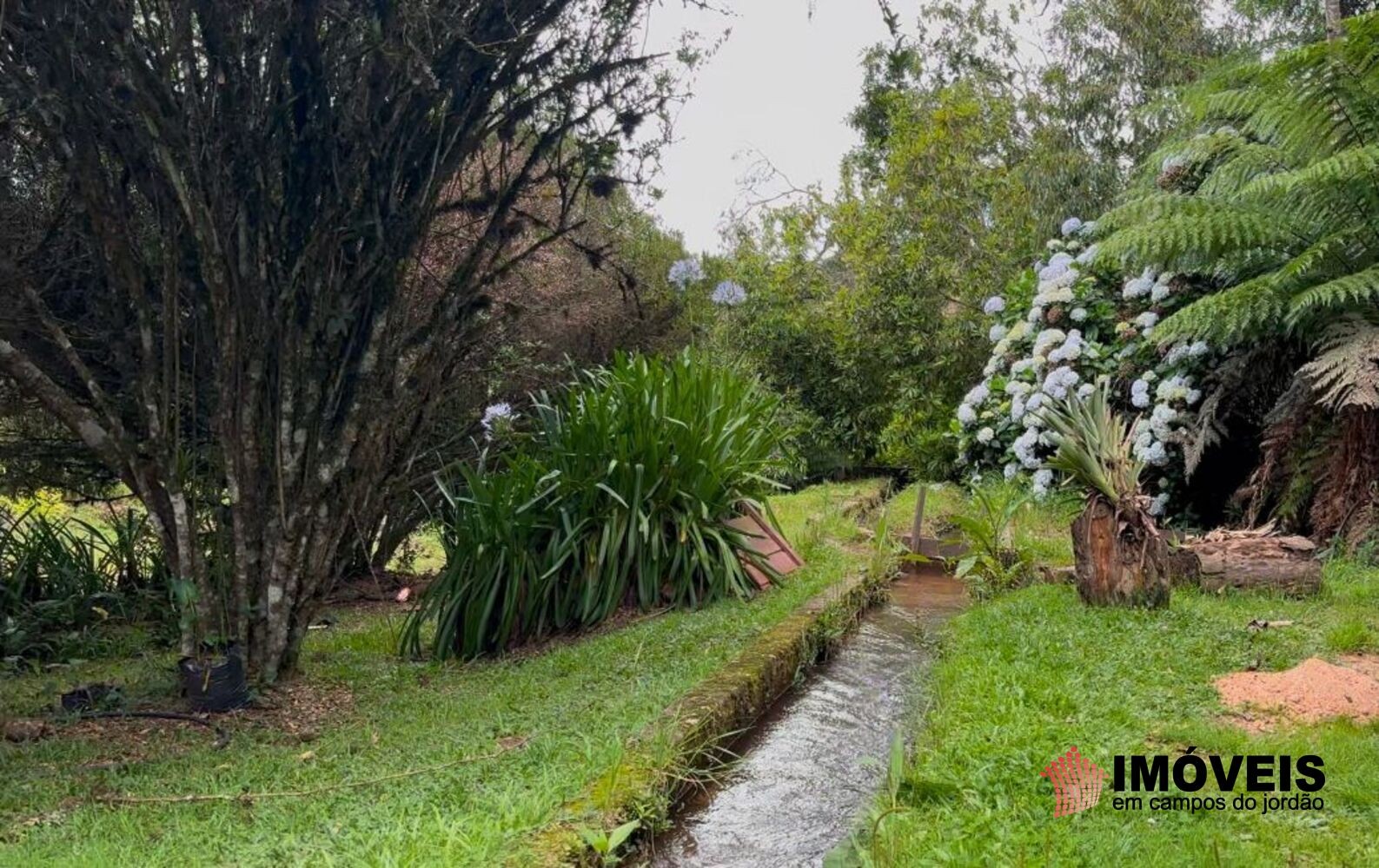 0 para Chácaras - Venda em Campos do Jordão