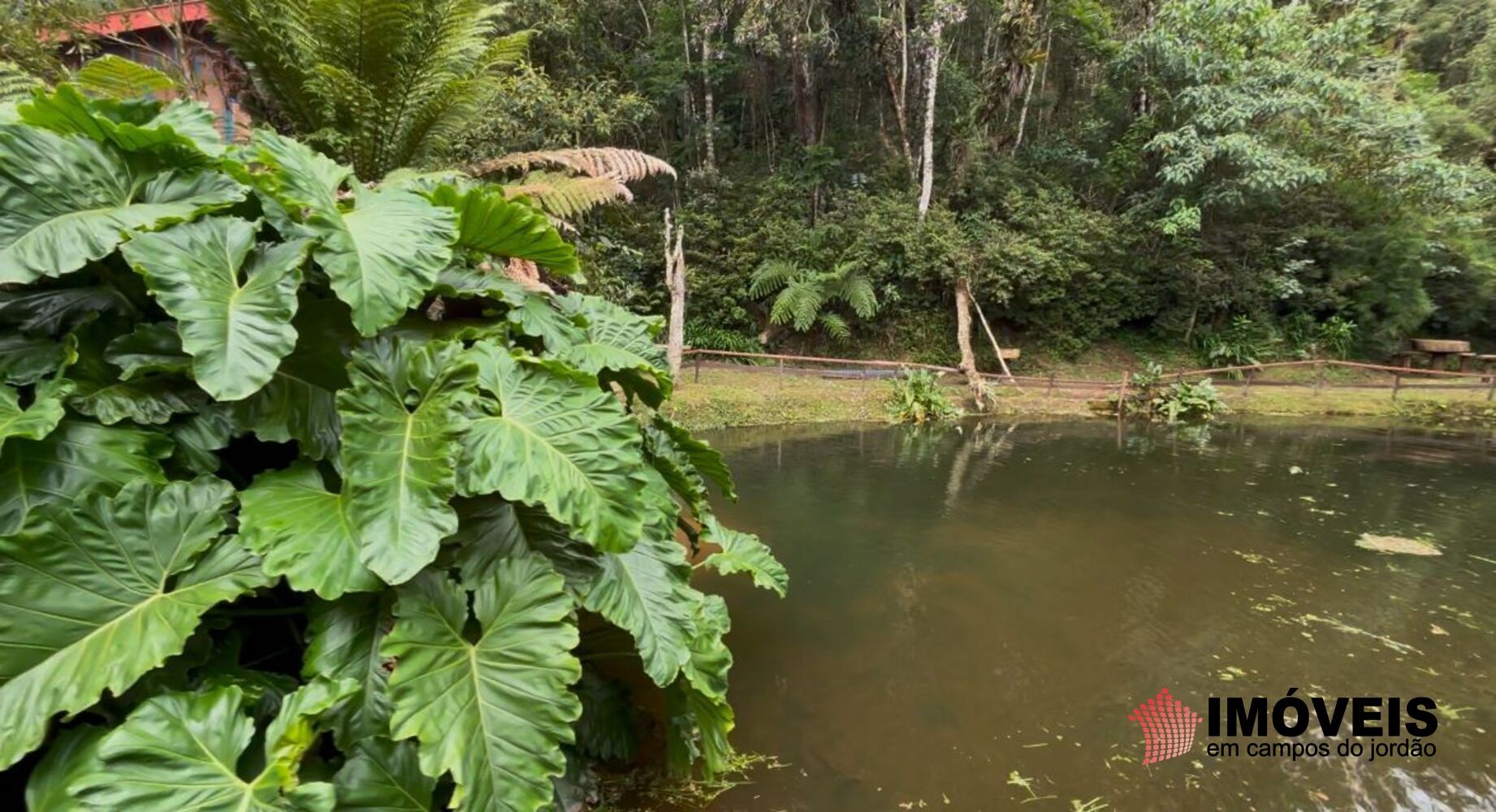 0 para Chácaras - Venda em Campos do Jordão