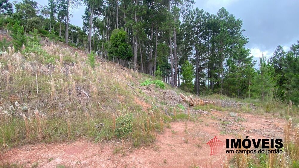 0 para Terrenos - Venda em Campos do Jordão