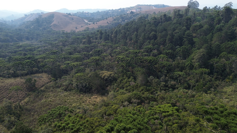 Terreno Venda Ferradura